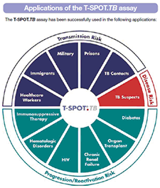 T.SPOT.Tb Test_6