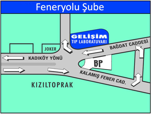 gelisim feneryolu