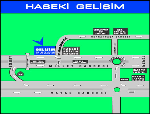 Gelişim Laboratuvarları Haseki Şube