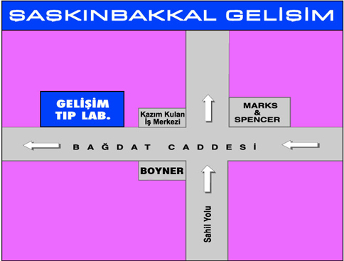 gelisim_kadıköy