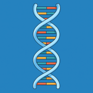 HPV DNA POZİTİF HASTALARDA KANSEROJEN AKTİVİTENİN BELİRLENMESİNDEHPV mRNA TESTİNİN ÖNEMİ ve KULLANIM ALANLARI