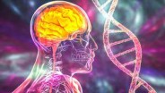     Alzheimer Hastalığının Laboratuvar Tanısında Daha Güçlü Bir Alternatif: 100 FARKLI LABORATUVAR TESTİNİN KOMBİNE EDİLMESİYLE TANIDA DOĞRULUĞUN ARTIRILMASI
